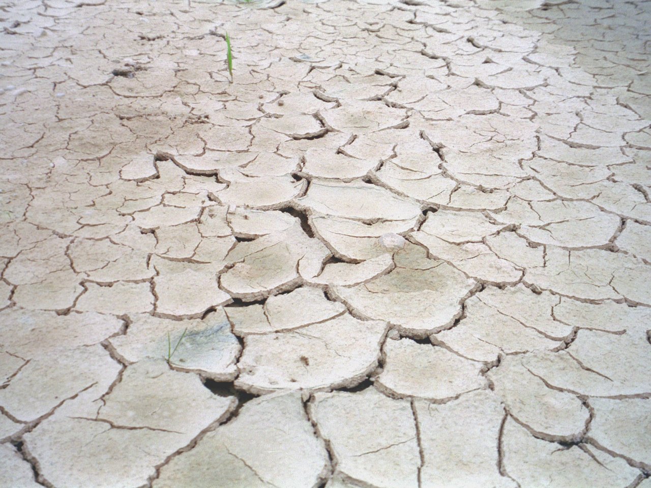 Crack in the earth Gravel pit of Niederbipp