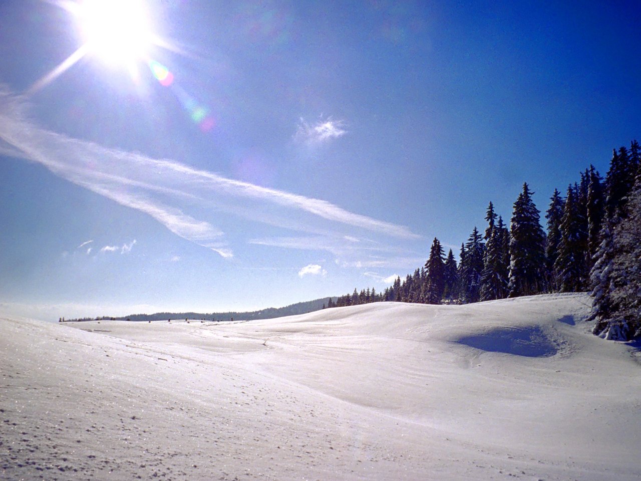 Edenpics-com_001-007-Plaine-enneigee-pres-d-une-lisiere-de-foret-avec-soleil-frontal-Suisse-Vaud.jpg