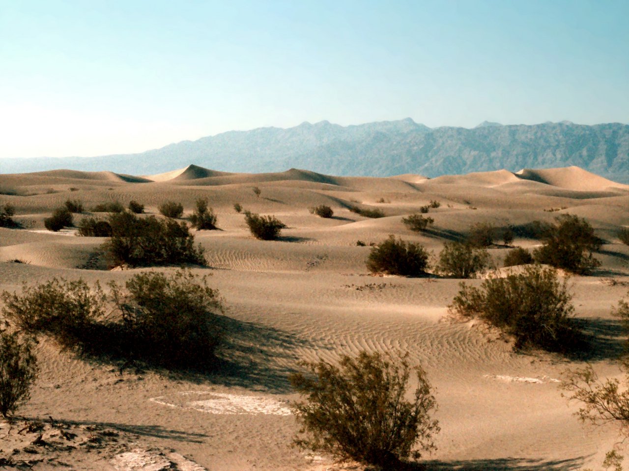 Index Of Pictures 002 It 1280